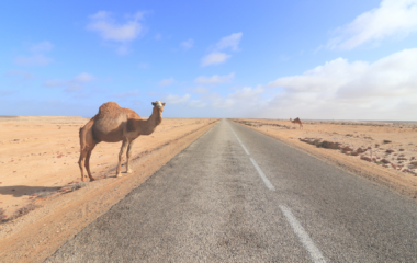 Morocco Trip