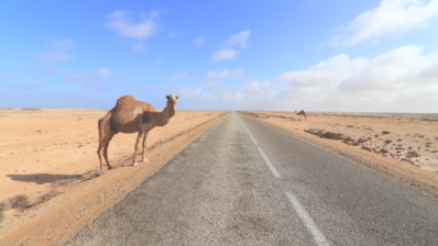 Morocco Trip