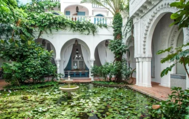 Discover the Best Riads in Casablanca