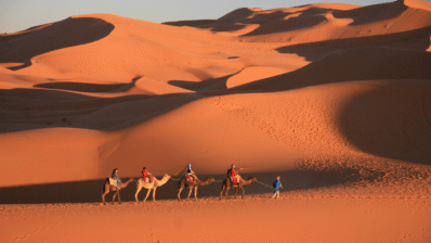 Southern Morocco Road Trip
